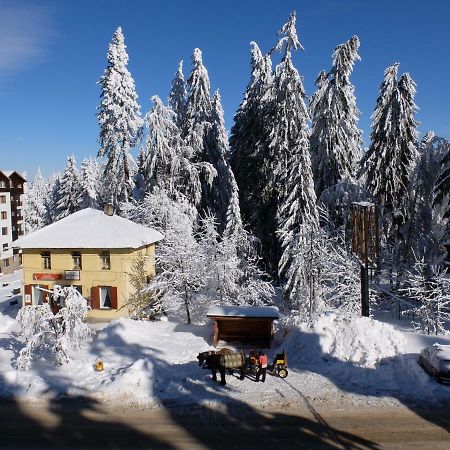 Borovets Apartment, Villa Park Ngoại thất bức ảnh