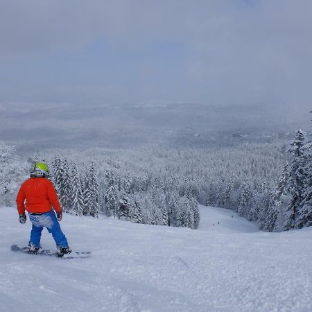 Borovets Apartment, Villa Park Ngoại thất bức ảnh