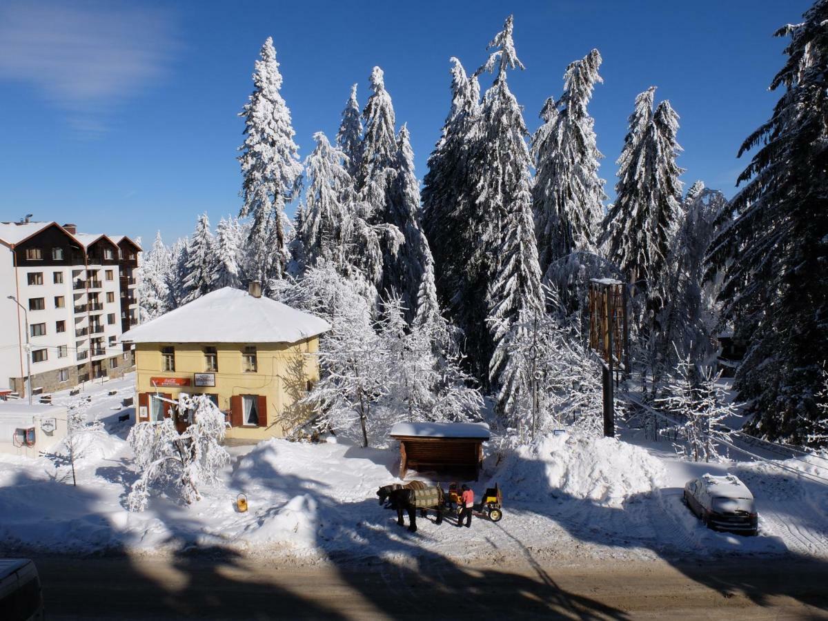 Borovets Apartment, Villa Park Ngoại thất bức ảnh