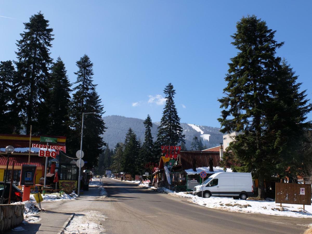 Borovets Apartment, Villa Park Ngoại thất bức ảnh